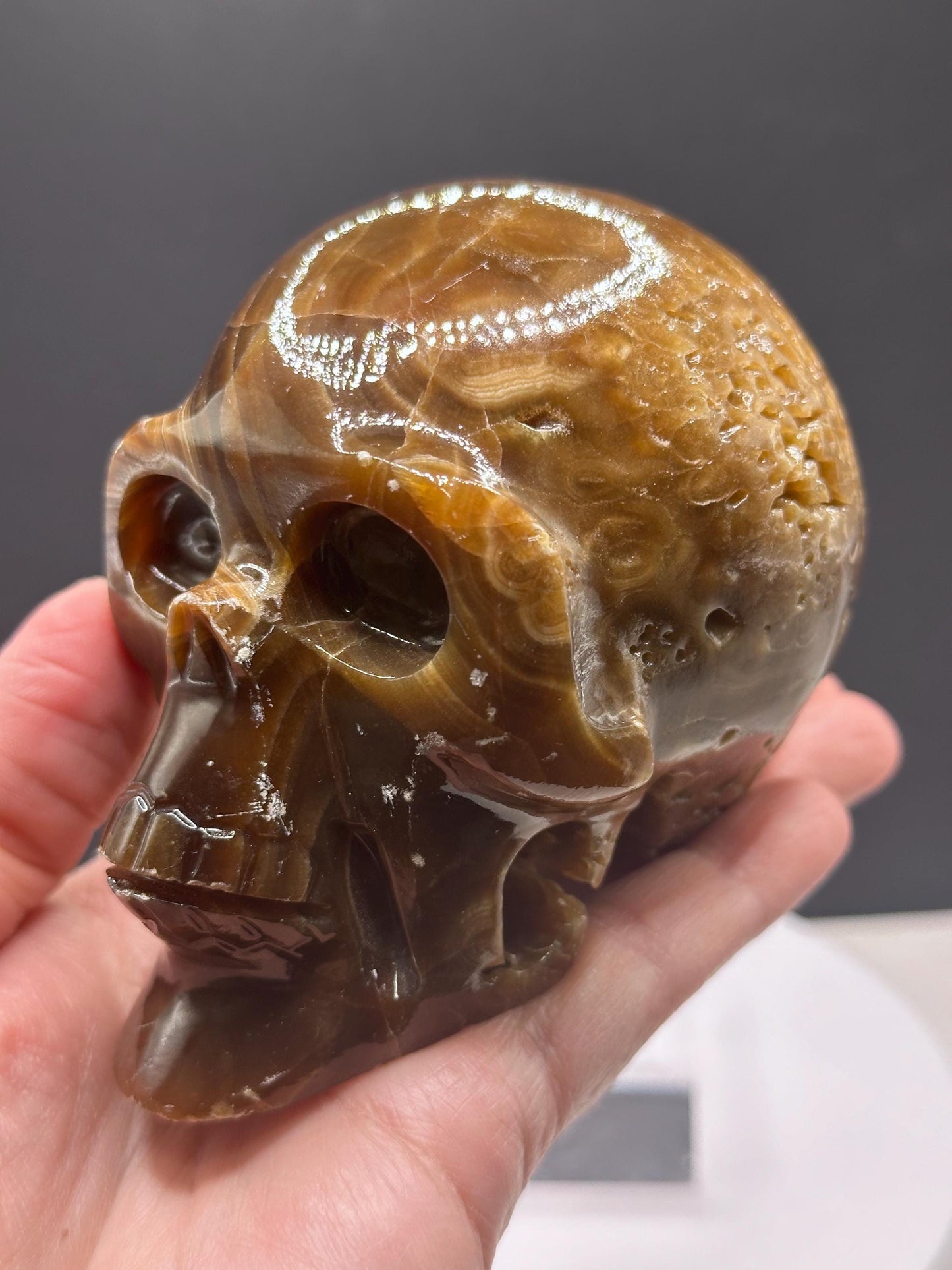 Chocolate Calcite Hand carved Skull/ Mexico