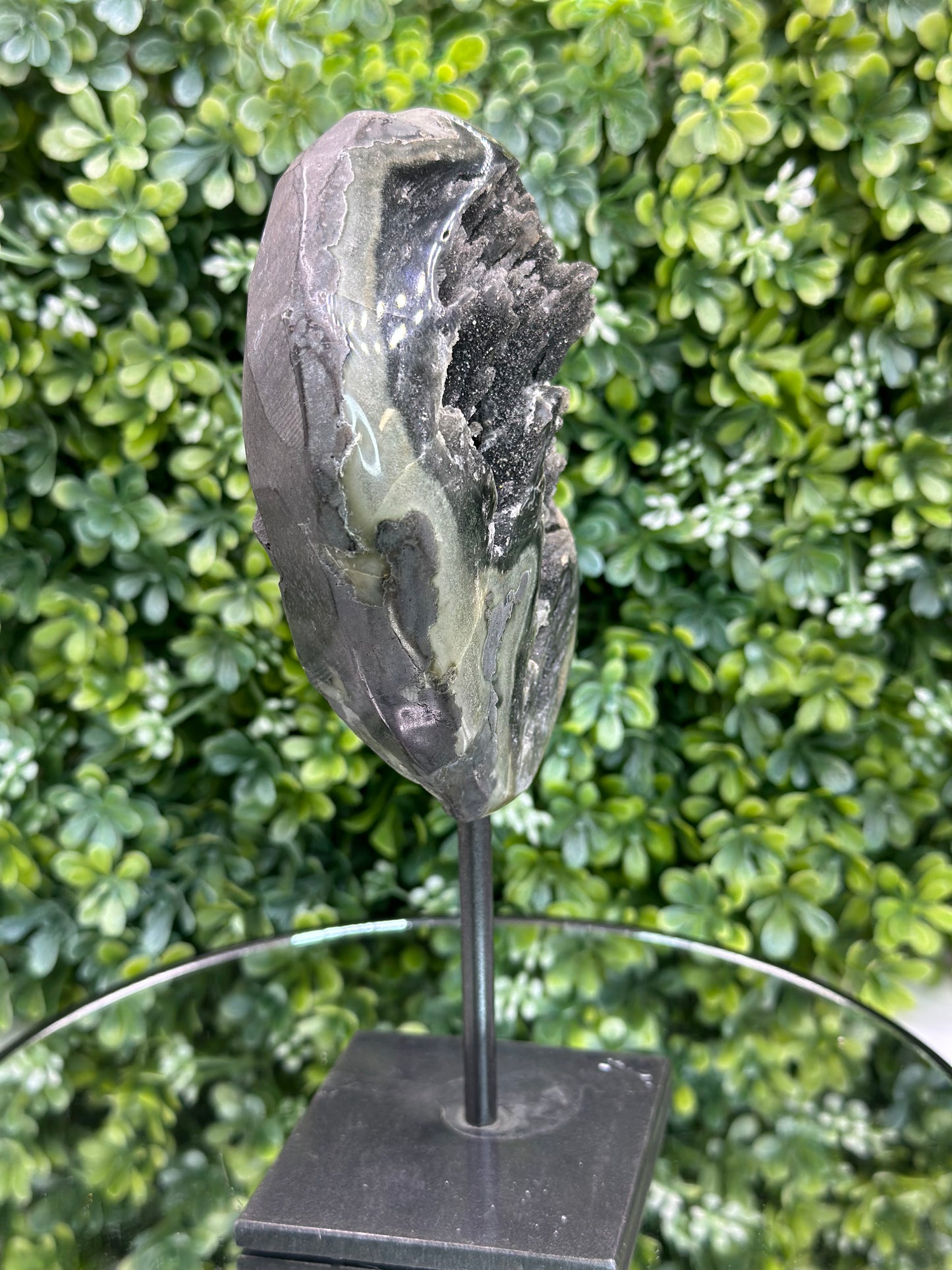 Galaxy Amethyst on Metal stand (Uruguay)