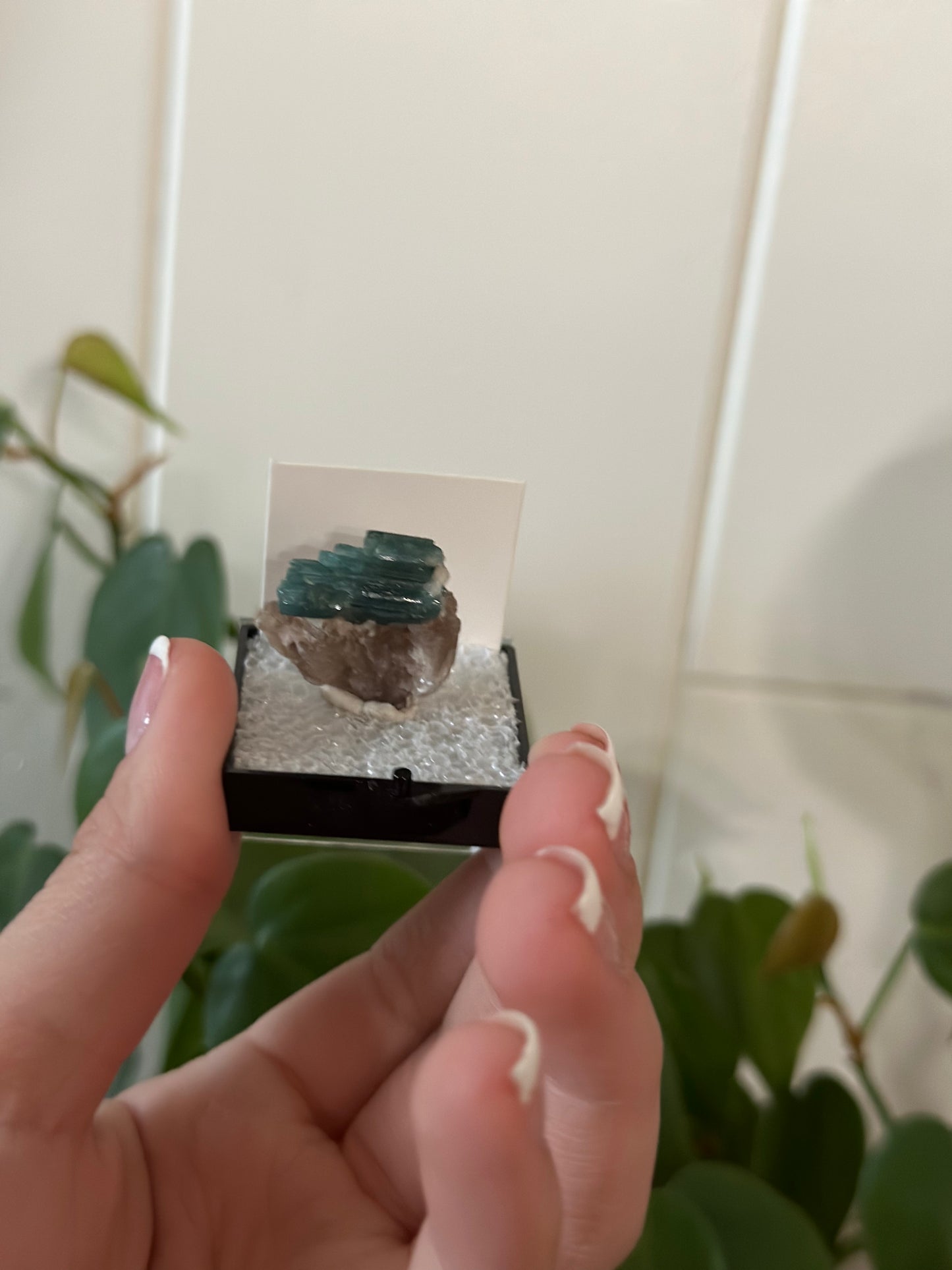 Blue Tourmaline in quartz thumbnail from Brazil